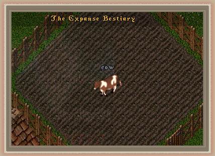 Cow