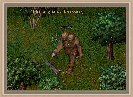 Ettin